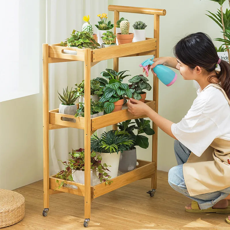 Bamboo cart, plant stand, rolling shelf